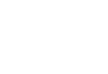 VineandOlive_TextOnly_Logo